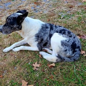 Meet your Posher, Kenny